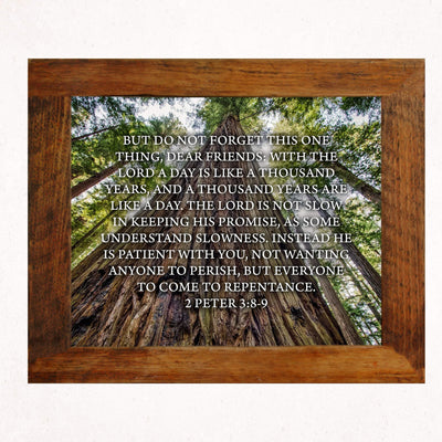 Do Not Forget This One Thing-The Lord Is Patient-2 Peter 3:8-9- Bible Verse Wall Art-10 x 8" Scripture Print on Woods Photo Print-Ready to Frame. Home-Office-Christian Decor. Great Gift of Faith!