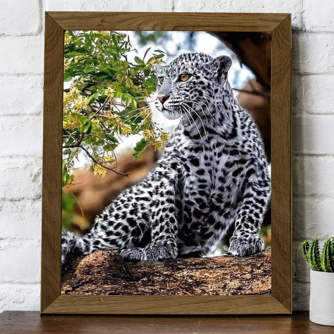 White Snow Leopard in Tree - 8 x 10" Wild Animals Print Wall Art- Ready to Frame. Big Cats Decor for Home-Office-Science Classroom-Library. Perfect Photo for Zoo, Animal, Safari &amp; Jungle Themes!