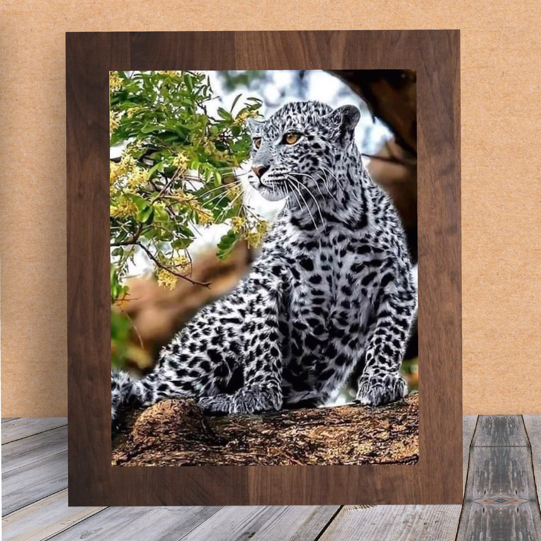 White Snow Leopard in Tree - 8 x 10" Wild Animals Print Wall Art- Ready to Frame. Big Cats Decor for Home-Office-Science Classroom-Library. Perfect Photo for Zoo, Animal, Safari &amp; Jungle Themes!