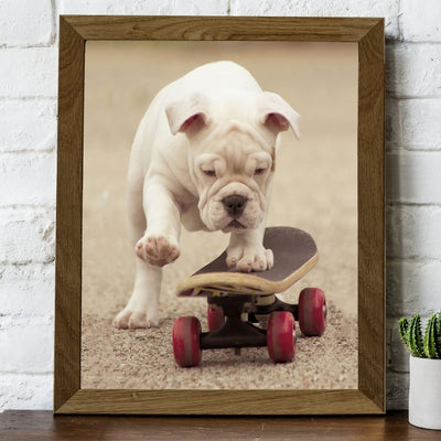 Cute Bulldog Puppy Riding A Skateboard-Funny Dog Photo Print-8 x 10" Wall Art Decor-Ready to Frame. Perfect Pet Wall Art for Home-Kitchen-Cave-Bar-Garage. Great Gift for English Bulldog Lovers!