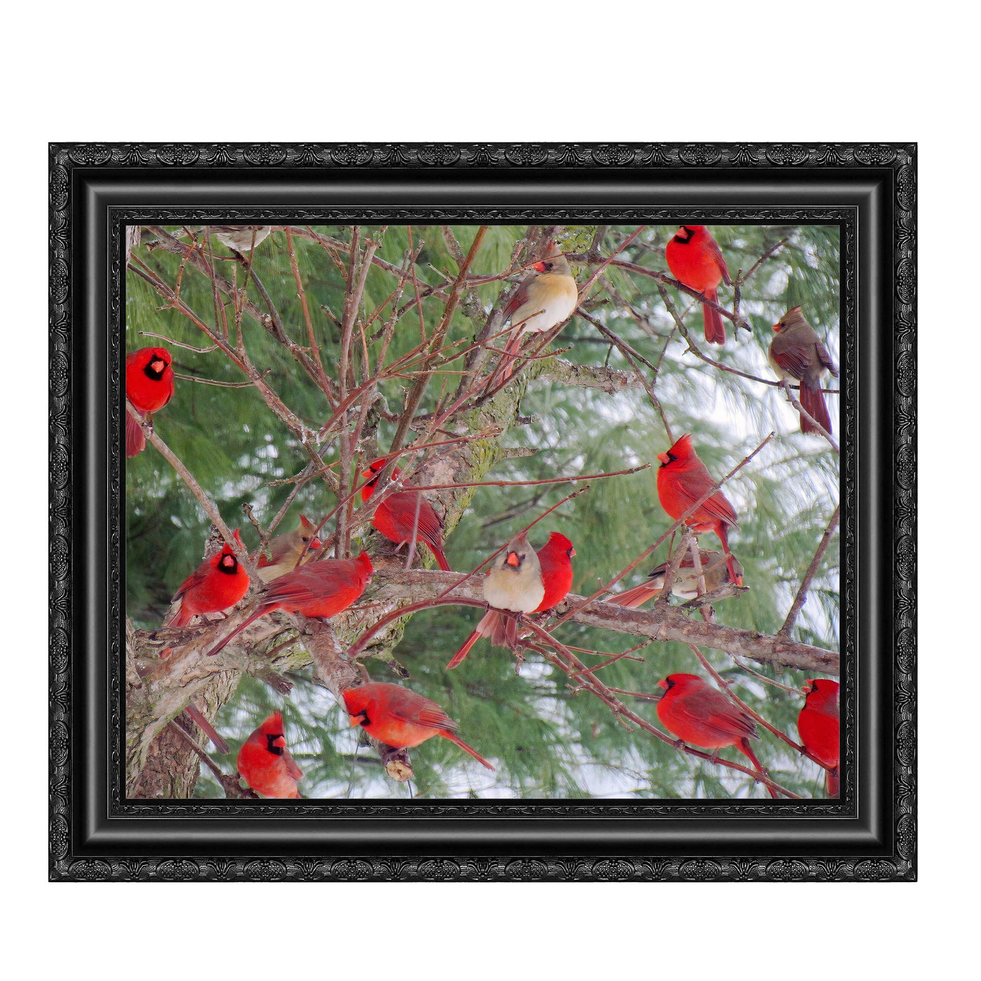 A Radiance of Cardinals-Inspirational Wall Art Decor -10 x 8" Winter Print w/Red Cardinal Bird Images In Tree-Ready to Frame. Home-Office-Holiday-Memorial Decor. Perfect Gift for Loved Ones!