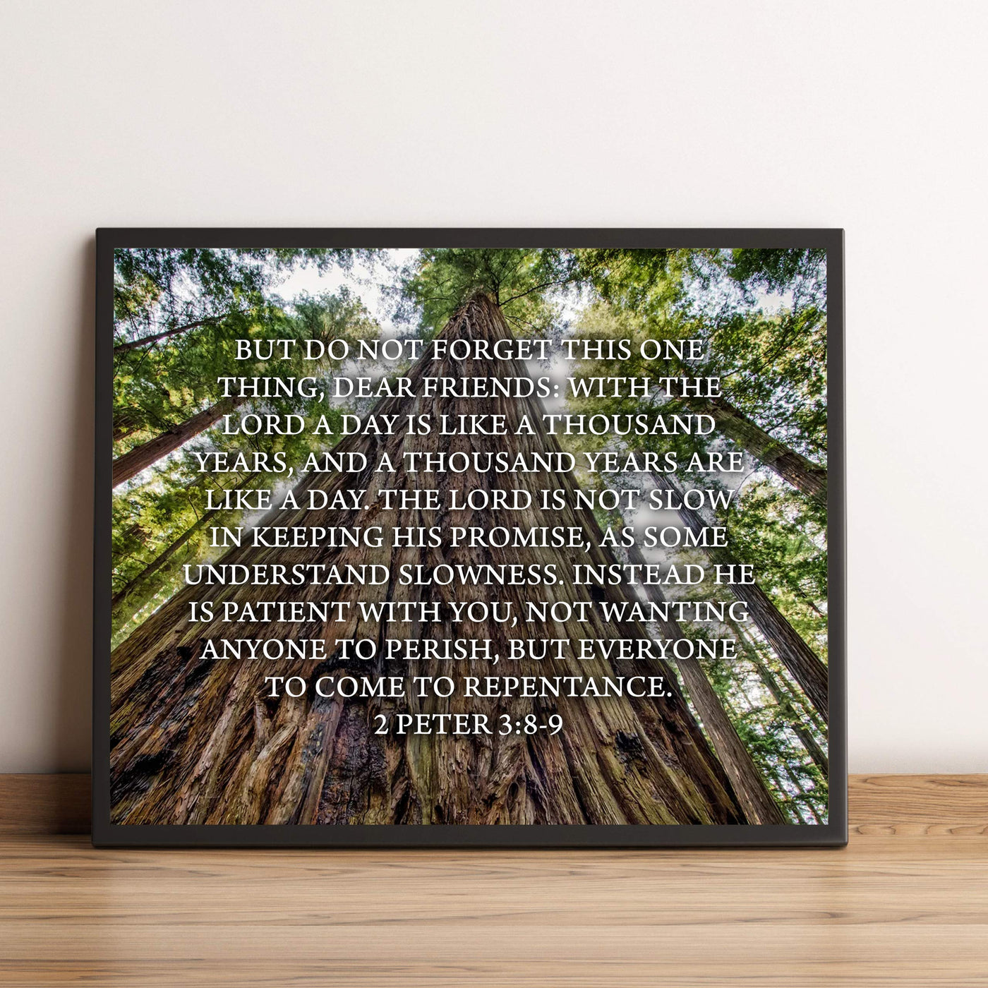 Do Not Forget This One Thing-The Lord Is Patient-2 Peter 3:8-9- Bible Verse Wall Art-10 x 8" Scripture Print on Woods Photo Print-Ready to Frame. Home-Office-Christian Decor. Great Gift of Faith!
