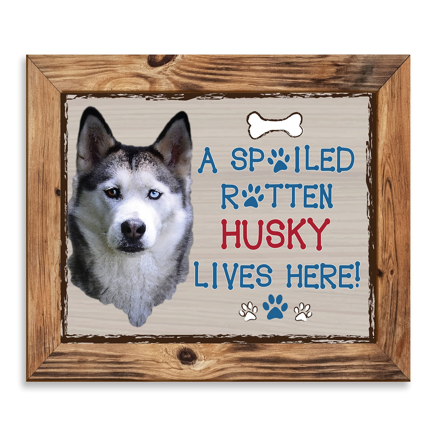 Siberian Husky-Dog Poster Print-10 x 8" Wall Decor Sign-Ready To Frame."A Spoiled Rotten Husky Lives Here". Perfect Pet Wall Art for Home-Kitchen-Cave-Bar-Garage. Great Gift for Siberian Husky Fans!