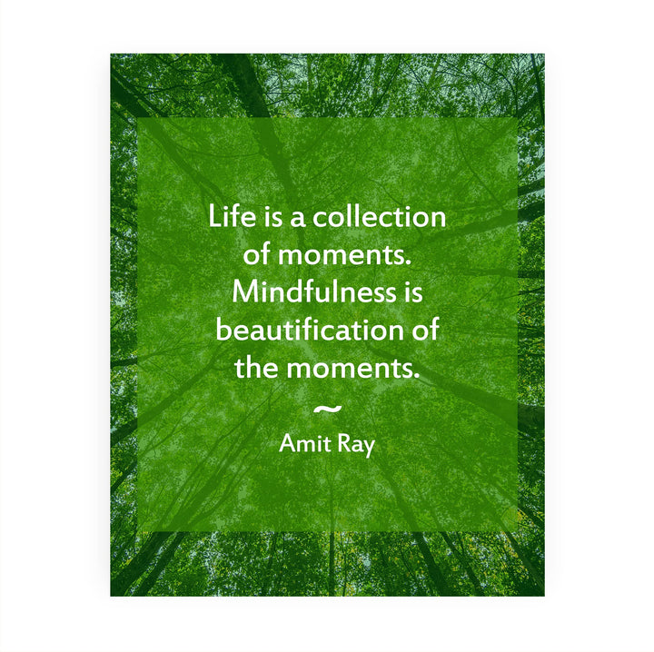 Life is a Collection of Moments- Inspirational Quotes Wall Art - 8 x 10" Forest Trees Photo Print -Ready to Frame. Motivational Home-Office-Studio Decor-Decorations. Great Zen - Mindfulness Decor!