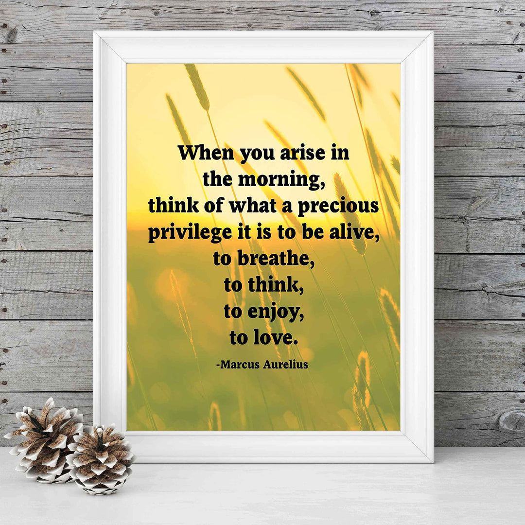 Marcus Aurelius Quotes-"When You Arise in the Morning"-Inspirational Wall Art -8 x 10" Sunset Meadow Print-Ready to Frame. Perfect Home-Office-Classroom-Dorm Decor. Great Philosophical Quote!