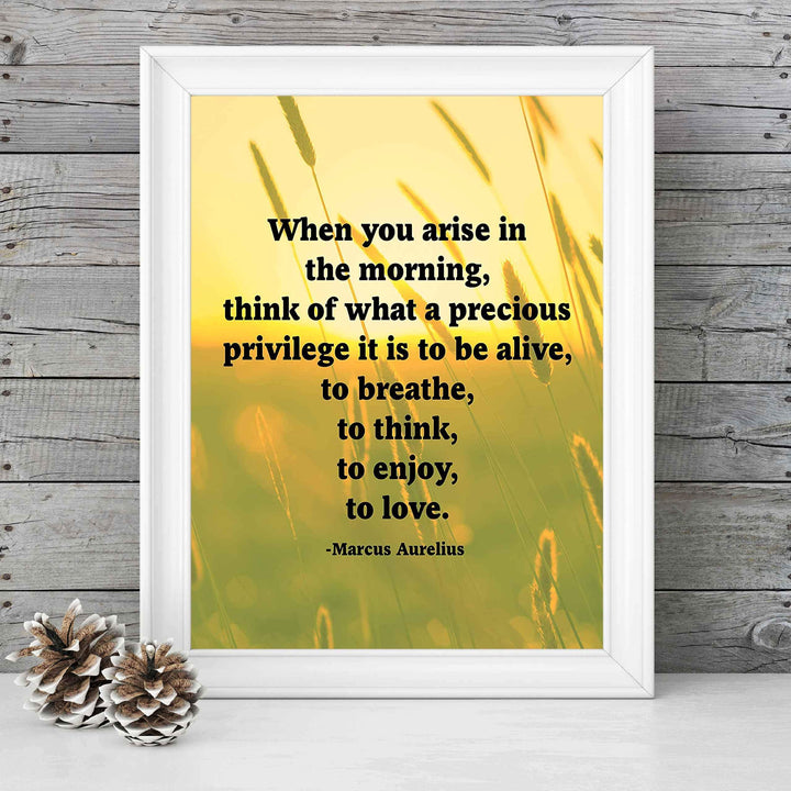 Marcus Aurelius Quotes-"When You Arise in the Morning"-Inspirational Wall Art -8 x 10" Sunset Meadow Print-Ready to Frame. Perfect Home-Office-Classroom-Dorm Decor. Great Philosophical Quote!