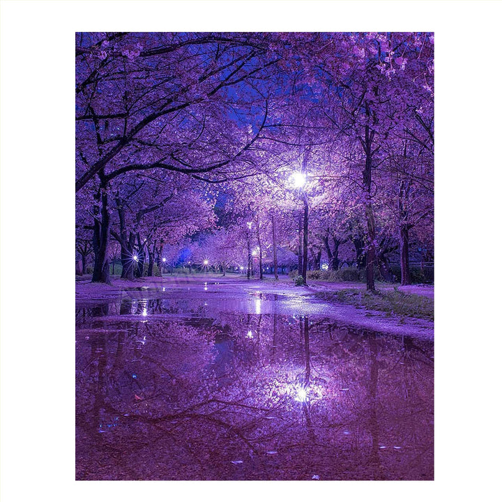 Purple Blossoms Rainy Reflections By Street Light - 8 x 10" Print Wall Art- Ready to Frame. Home D?cor, Office D?cor &amp; Wall Print. Rainy Night Reflections Makes Great Gift for Purple Flower Lovers.