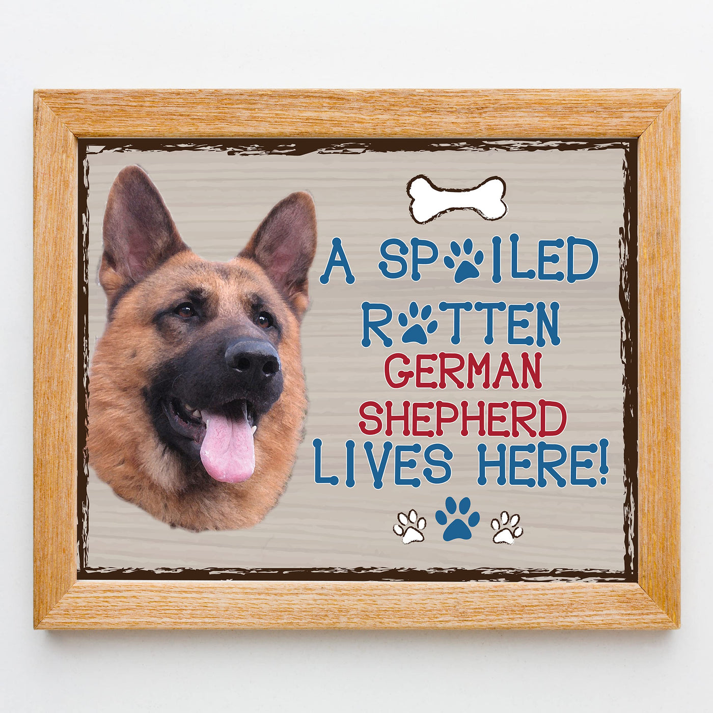 German Shepherd-Dog Poster Print-10 x 8" Wall Decor Sign-Ready To Frame."A Spoiled Rotten German Shepherd Lives Here". Perfect Pet Wall Art for Home-Kitchen-Cave-Bar-Garage. Great Gift for GS Owner.