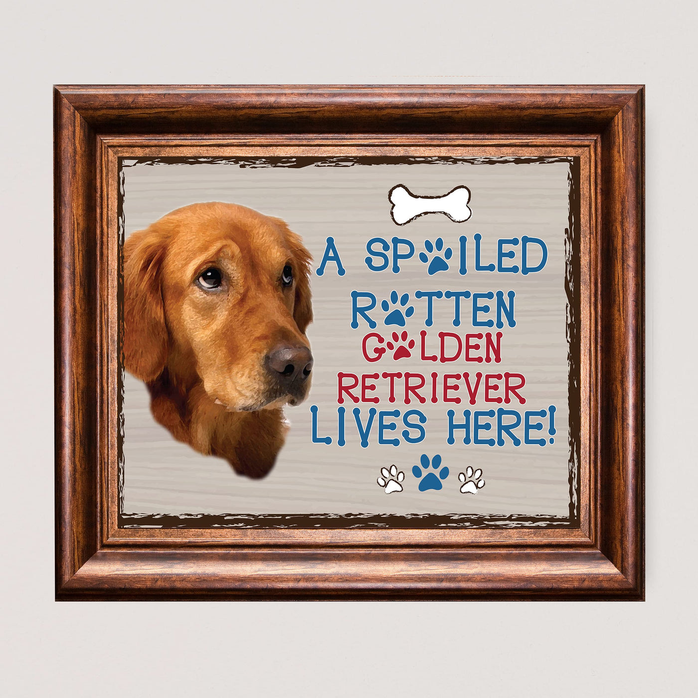 Golden Lab- Dog Poster Print-10 x 8" Wall Decor Sign-Ready To Frame."A Spoiled Rotten Golden Retriever Lives Here". Perfect Pet Wall Art for Home-Kitchen-Cave-Bar-Garage. Great Gift for Lab Lovers.