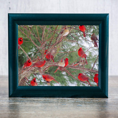 A Radiance of Cardinals-Inspirational Wall Art Decor -10 x 8" Winter Print w/Red Cardinal Bird Images In Tree-Ready to Frame. Home-Office-Holiday-Memorial Decor. Perfect Gift for Loved Ones!