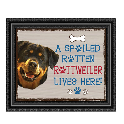 Rottweiler- Dog Poster Print- 10 x 8" Wall Decor Sign-Ready To Frame."A Spoiled Rotten Rottweiler Lives Here". Perfect Pet Wall Art for Home-Kitchen-Cave-Bar-Garage. Great Gift for Rottweiler Owners.