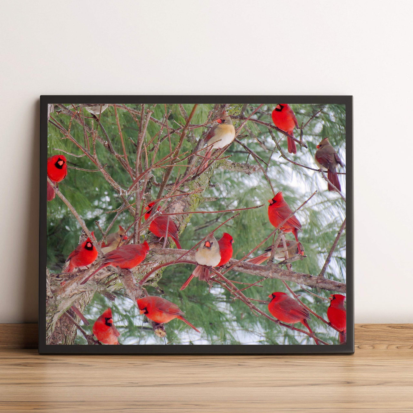 A Radiance of Cardinals-Inspirational Wall Art Decor -10 x 8" Winter Print w/Red Cardinal Bird Images In Tree-Ready to Frame. Home-Office-Holiday-Memorial Decor. Perfect Gift for Loved Ones!