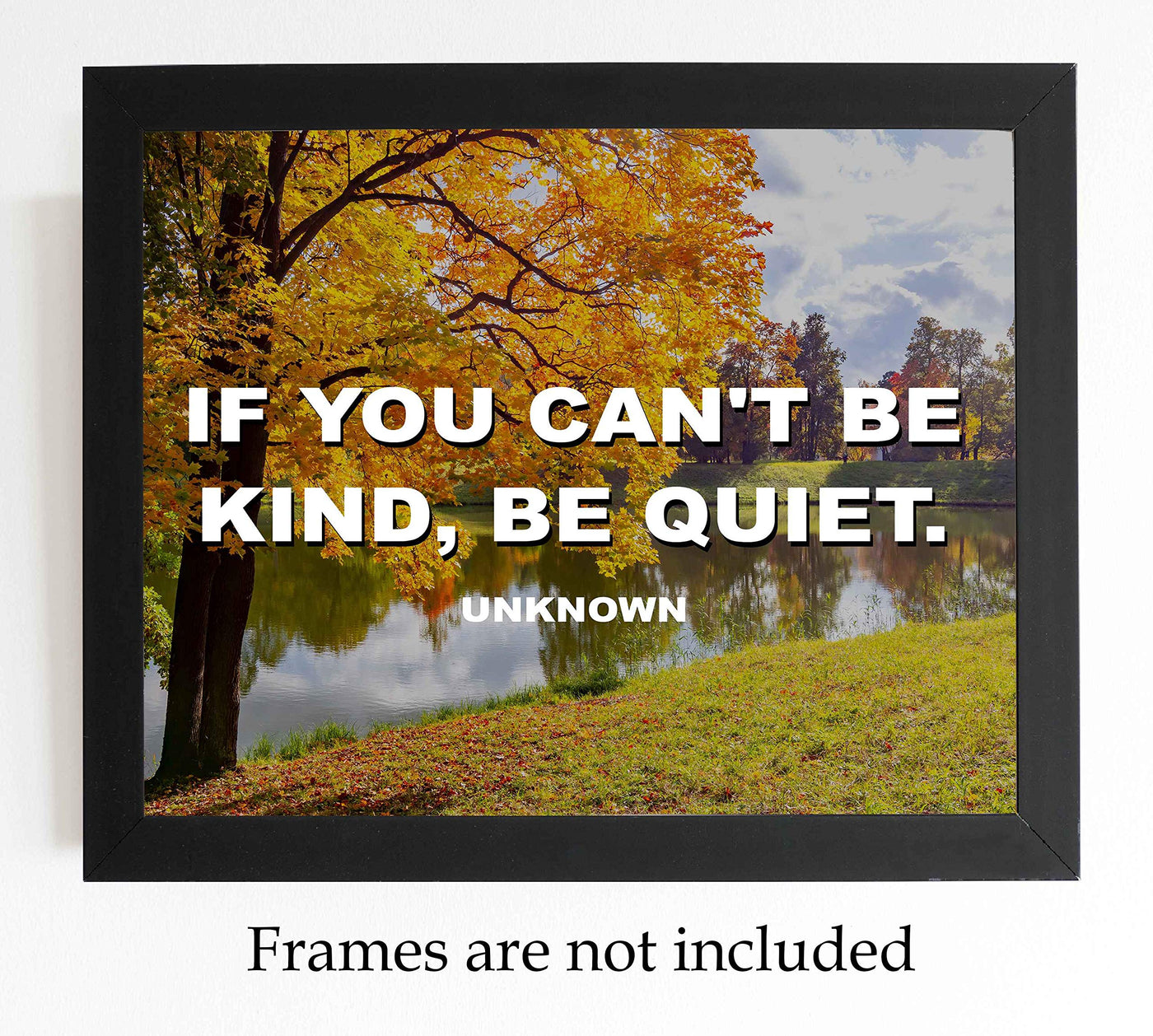 If You Can't Be Kind, Be Quiet Inspirational Wall Art-8 x 10" Beautiful Autumn Landscape with Typographic Art Print-Ready to Frame. Home-Office-School D?cor. Motivational Quote to Inspire Kindness.