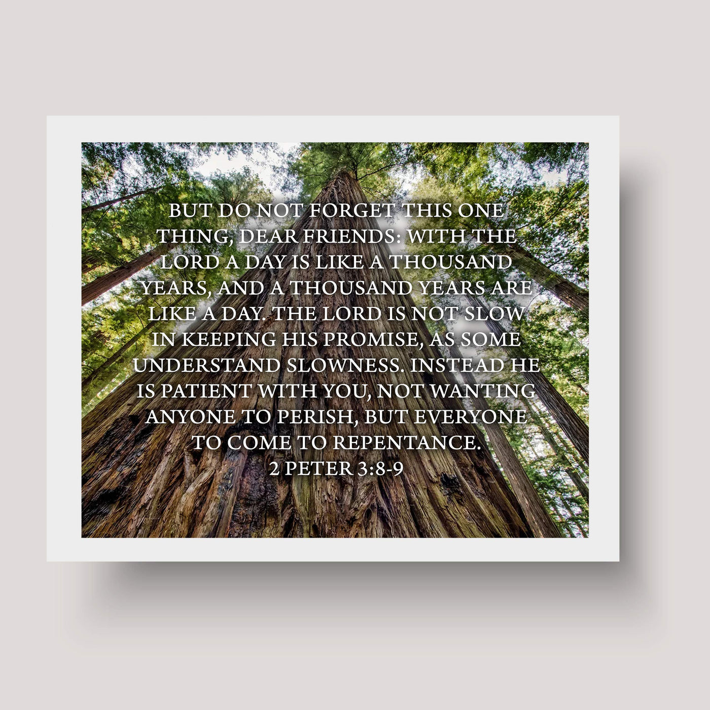 Do Not Forget This One Thing-The Lord Is Patient-2 Peter 3:8-9- Bible Verse Wall Art-10 x 8" Scripture Print on Woods Photo Print-Ready to Frame. Home-Office-Christian Decor. Great Gift of Faith!