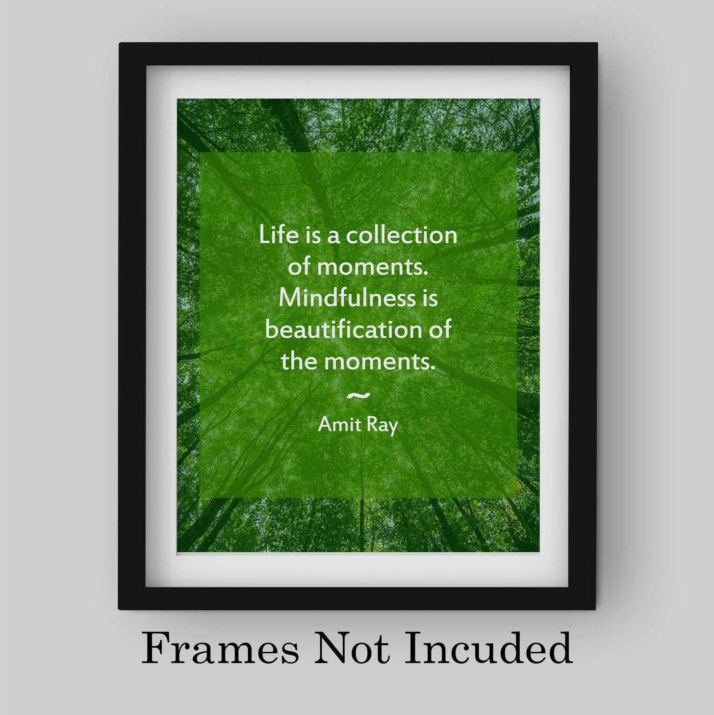 Life is a Collection of Moments- Inspirational Quotes Wall Art - 8 x 10" Forest Trees Photo Print -Ready to Frame. Motivational Home-Office-Studio Decor-Decorations. Great Zen - Mindfulness Decor!