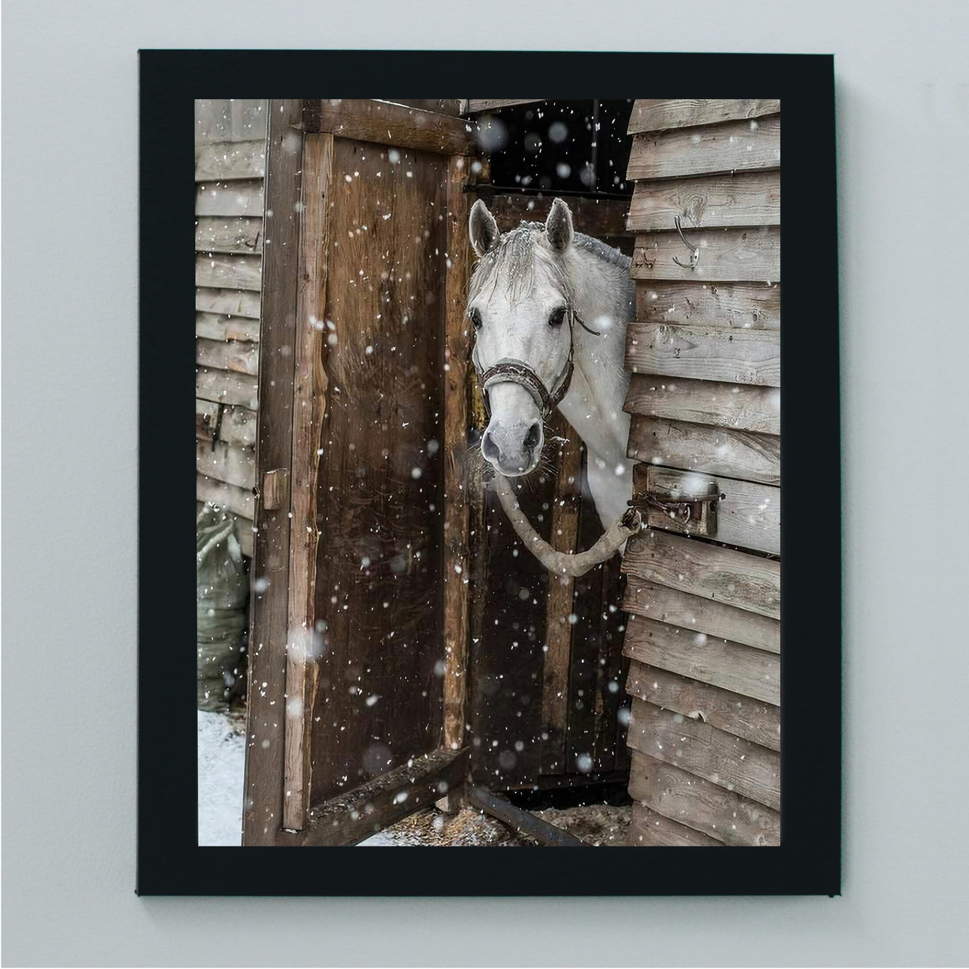 White Horse Peeking Out at the Snow- 8 x 10" Beautiful Country Photo Print Wall Art-Ready to Frame. Home-Office-Bar Decor for Equestrian Themes & Children's Bedroom. Perfect Gift-Horse Lovers.