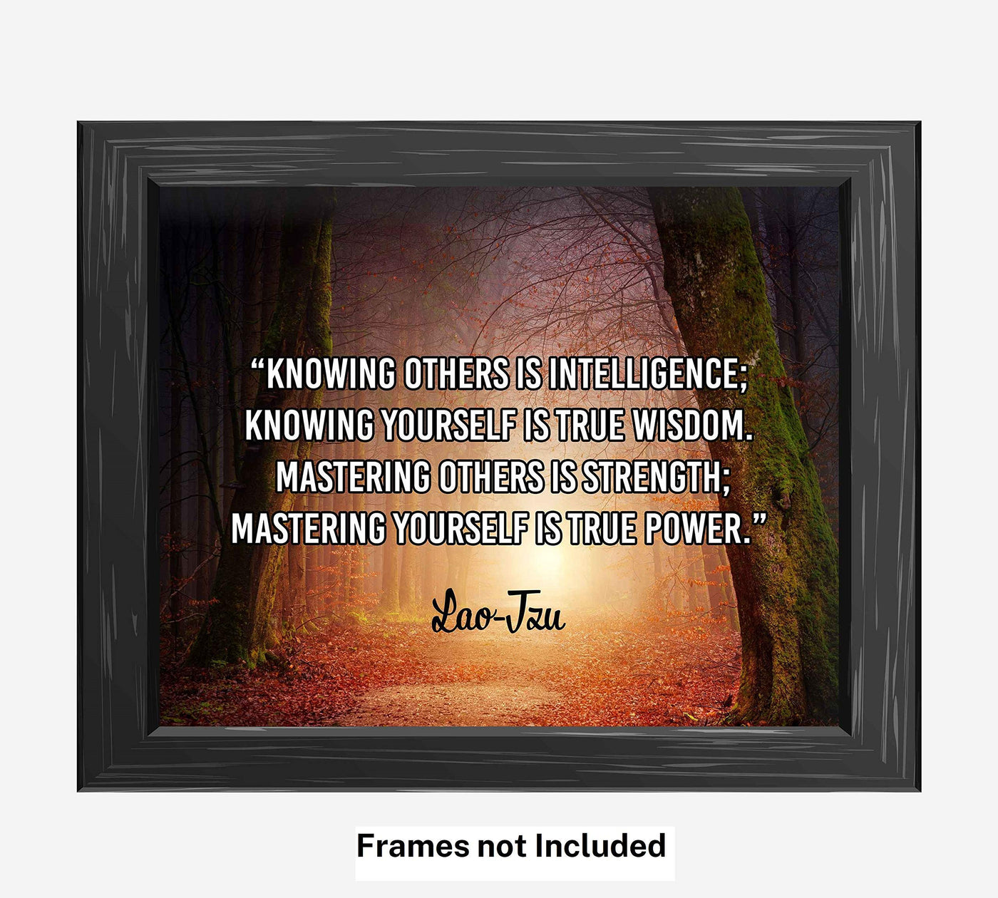 Lao Tzu Quotes-"Mastering Yourself Is True Power"-Motivational Wall Art-10 x 8" Spiritual Forest Photo Print-Ready to Frame. Inspirational Home-Office-Studio-Gym Decor. Perfect Zen Gift to Motivate!