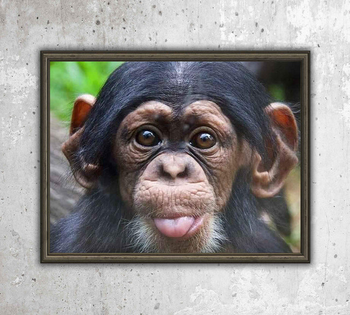 Baby Chimp w/Funny Face- 10 x 8" Photographic Wall Art Print- Ready to Frame. Home-Nursery-Party Decor. Perfect for Zoo Themes &amp; Children&