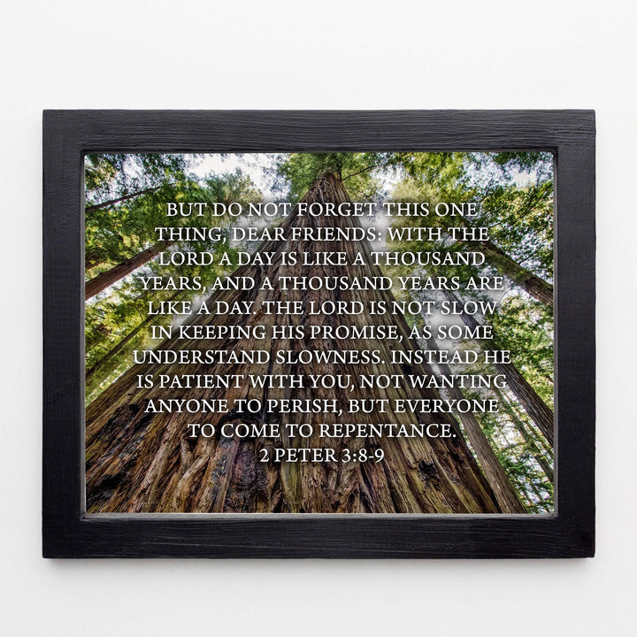 Do Not Forget This One Thing-The Lord Is Patient-2 Peter 3:8-9- Bible Verse Wall Art-10 x 8" Scripture Print on Woods Photo Print-Ready to Frame. Home-Office-Christian Decor. Great Gift of Faith!