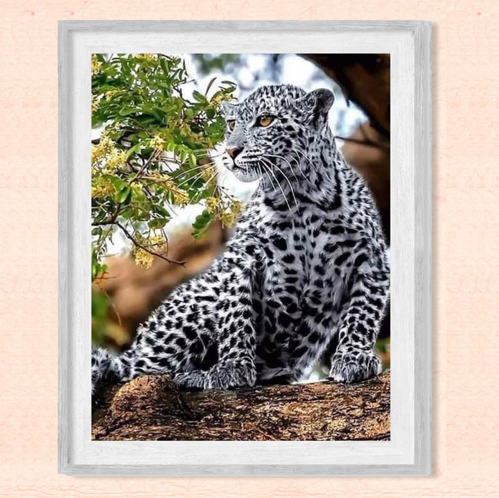 White Snow Leopard in Tree - 8 x 10" Wild Animals Print Wall Art- Ready to Frame. Big Cats Decor for Home-Office-Science Classroom-Library. Perfect Photo for Zoo, Animal, Safari &amp; Jungle Themes!