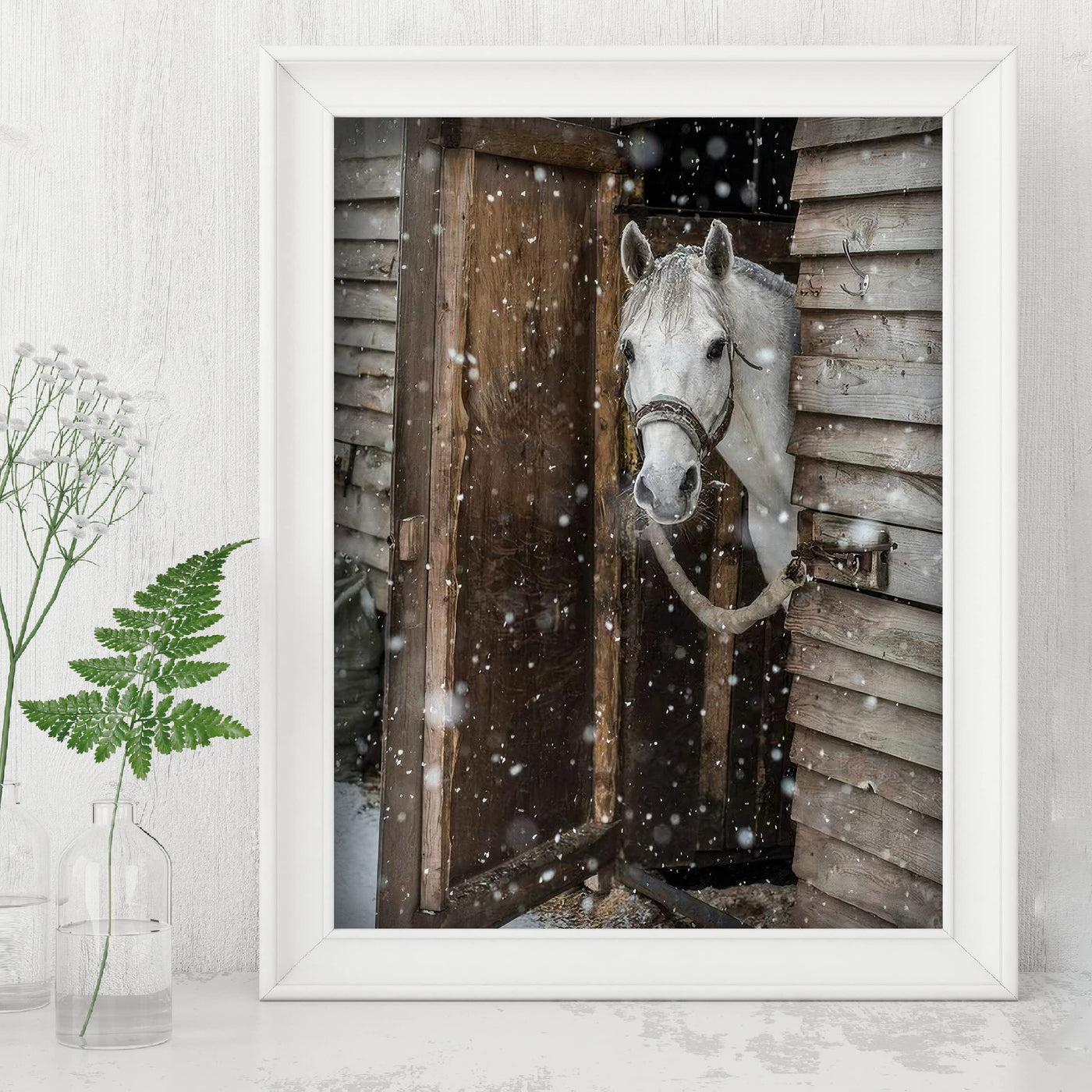 White Horse Peeking Out at the Snow- 8 x 10" Beautiful Country Photo Print Wall Art-Ready to Frame. Home-Office-Bar Decor for Equestrian Themes & Children's Bedroom. Perfect Gift-Horse Lovers.