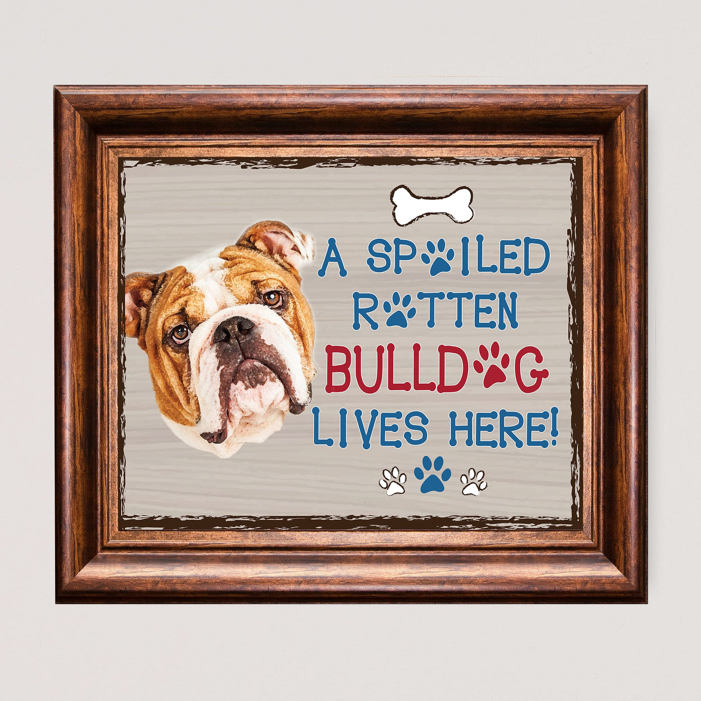 Bulldog-Dog Poster Print- 10 x 8" Wall Decor Sign-Ready To Frame."A Spoiled Rotten Bulldog Lives Here". Perfect Pet Wall Art for Home-Kitchen-Cave-Bar-Garage. Great Gift for All Bulldog Lovers.