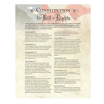 "Constitution of the USA & Bill of Rights"- Patriotic Poster Print. 11 x 14"