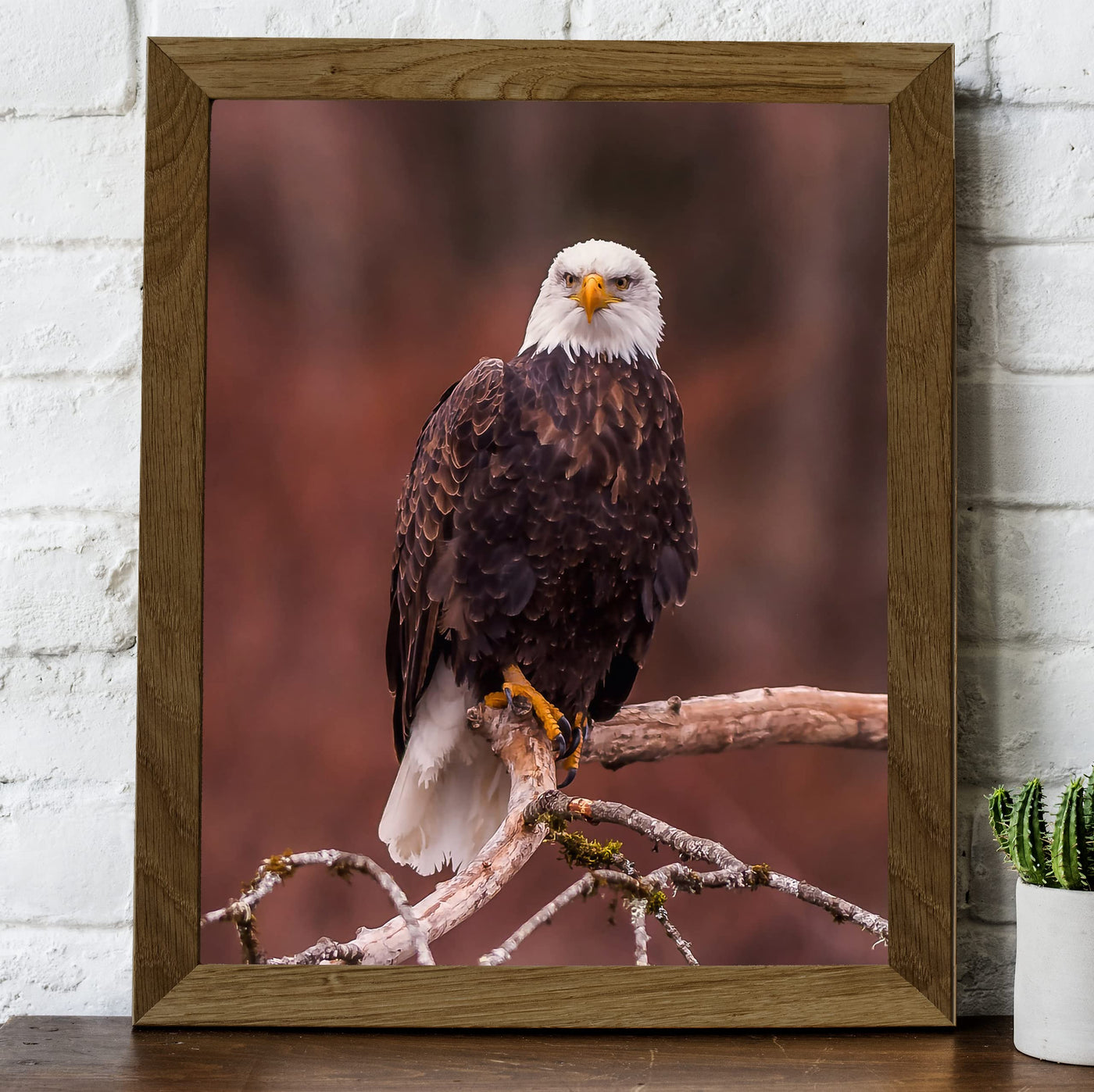 Mighty Bald Eagle in Tree Motivational American Wall Art -8 x 10" Patriotic Eagle Photo Print -Ready to Frame. Inspirational Home-Office-School-Cave Decor. Great for Animal & Political Themes!