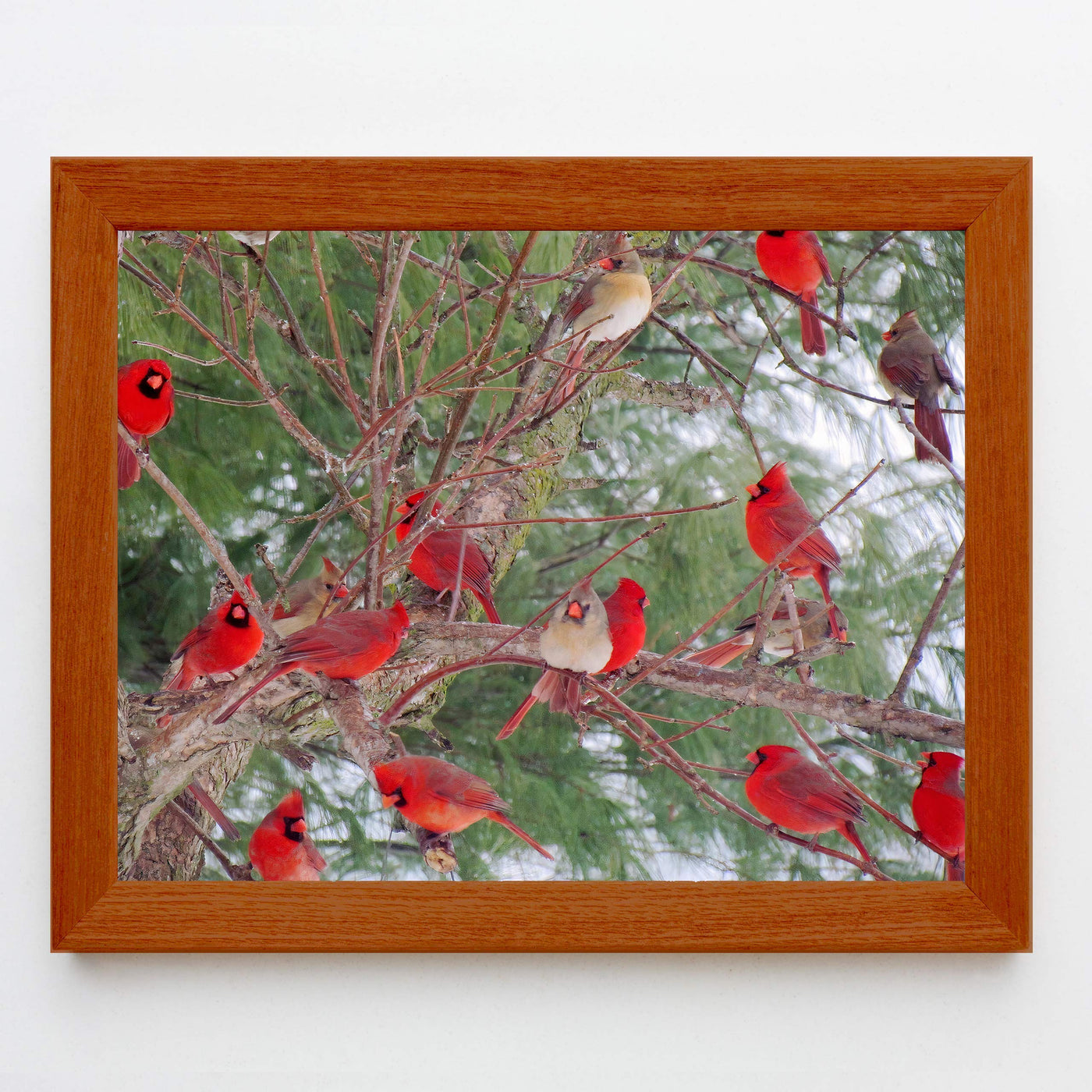 A Radiance of Cardinals-Inspirational Wall Art Decor -10 x 8" Winter Print w/Red Cardinal Bird Images In Tree-Ready to Frame. Home-Office-Holiday-Memorial Decor. Perfect Gift for Loved Ones!