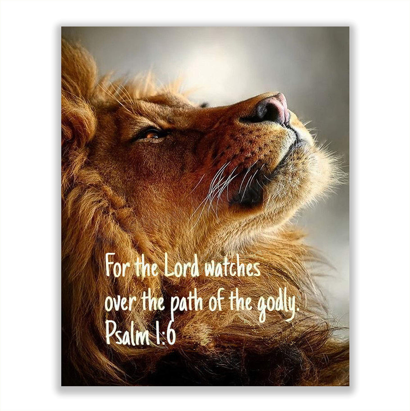 The Lord Watches Over the Path of Godly- Psalm 1:6- Bible Verse Wall Art- 8 x 10" Modern Typographic Design. Scripture Wall Print-Ready to Frame. Home-Office-Church D?cor. Great Christian Gift!