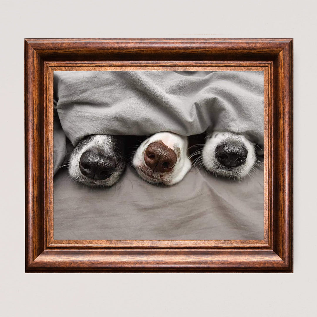 Adorable Puppy Noses Peeking Out- Funny Dog Nose Wall Art- 10 x 8" Inspirational Pet Lovers Picture Print -Ready to Frame. Home, Pet Shop, Nursery, Vet&