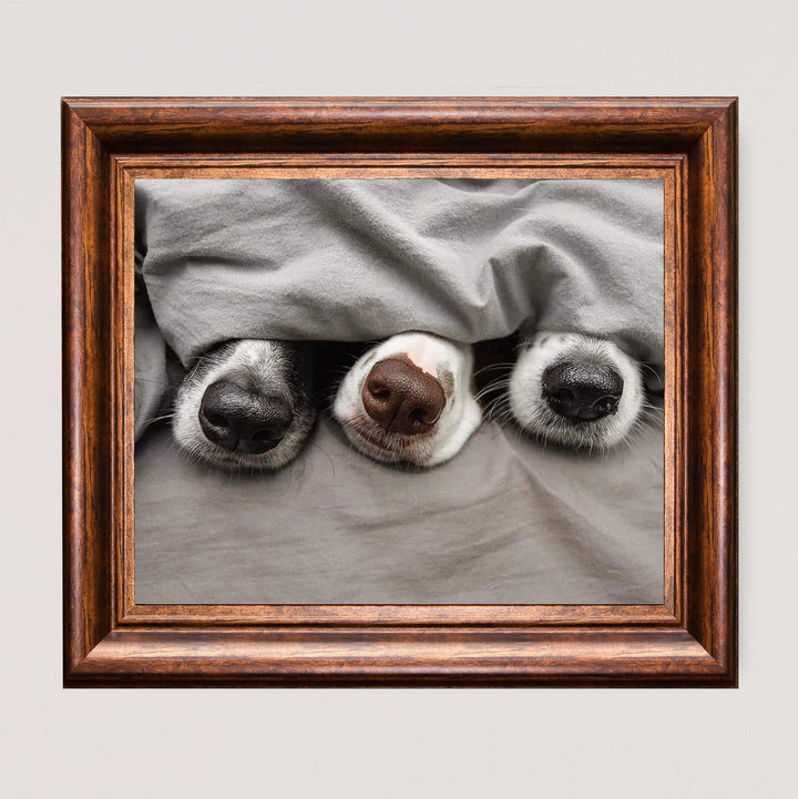 Adorable Puppy Noses Peeking Out- Funny Dog Nose Wall Art- 10 x 8" Inspirational Pet Lovers Picture Print -Ready to Frame. Home, Pet Shop, Nursery, Vet&