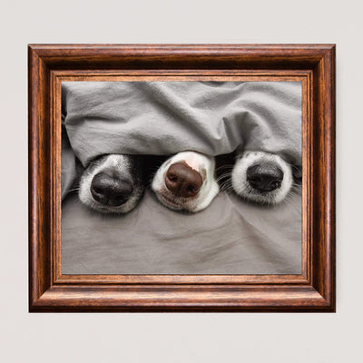 Adorable Puppy Noses Peeking Out- Funny Dog Nose Wall Art- 10 x 8" Inspirational Pet Lovers Picture Print -Ready to Frame. Home, Pet Shop, Nursery, Vet's Office & Animal Themed Decor. Cute Gift!