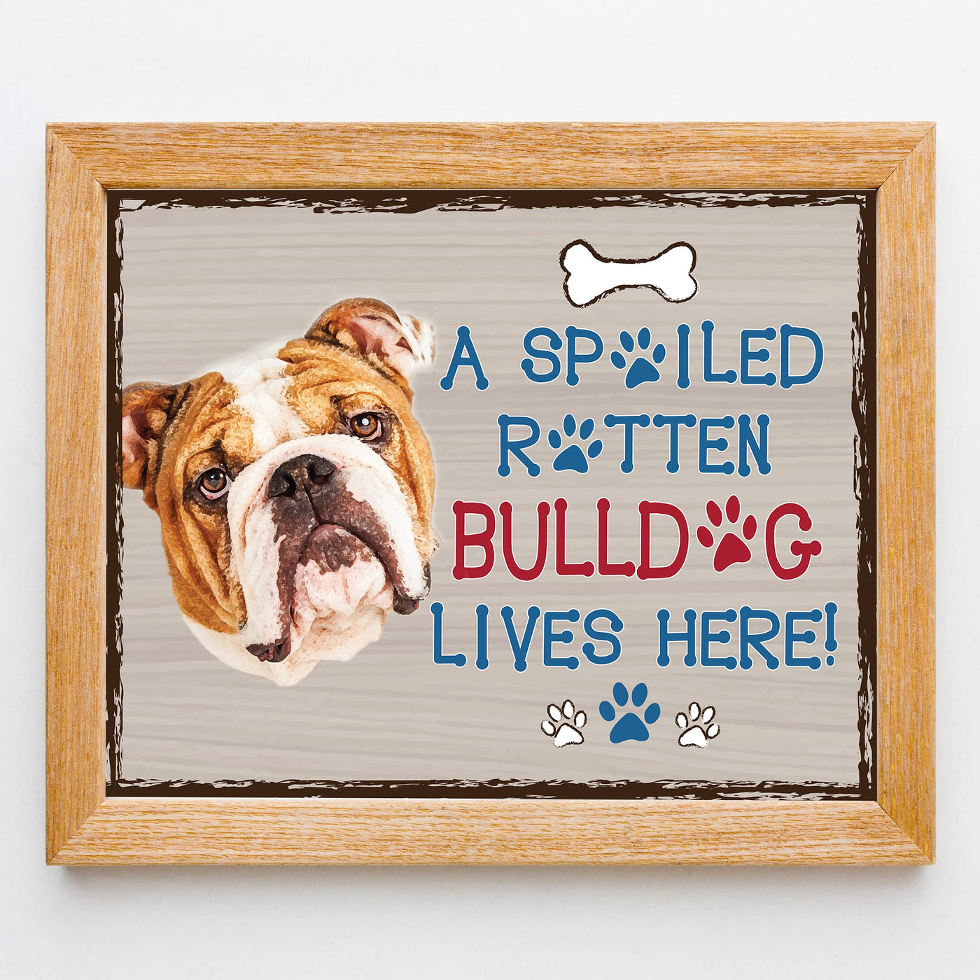 Bulldog-Dog Poster Print- 10 x 8" Wall Decor Sign-Ready To Frame."A Spoiled Rotten Bulldog Lives Here". Perfect Pet Wall Art for Home-Kitchen-Cave-Bar-Garage. Great Gift for All Bulldog Lovers.