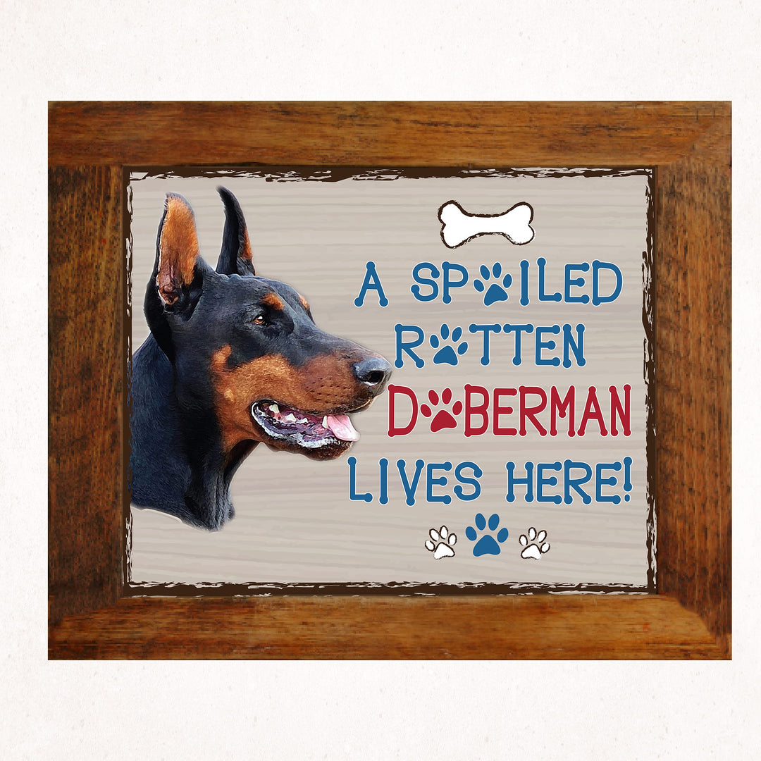 Doberman-Dog Poster Print-10 x 8" Wall Decor Sign-Ready To Frame."A Spoiled Rotten Doberman Lives Here". Perfect Pet Wall Art for Home-Kitchen-Cave-Bar-Garage. Great Gift for Doberman Owners.