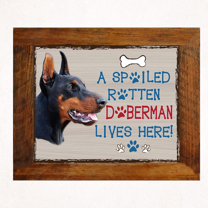 Doberman-Dog Poster Print-10 x 8" Wall Decor Sign-Ready To Frame."A Spoiled Rotten Doberman Lives Here". Perfect Pet Wall Art for Home-Kitchen-Cave-Bar-Garage. Great Gift for Doberman Owners.