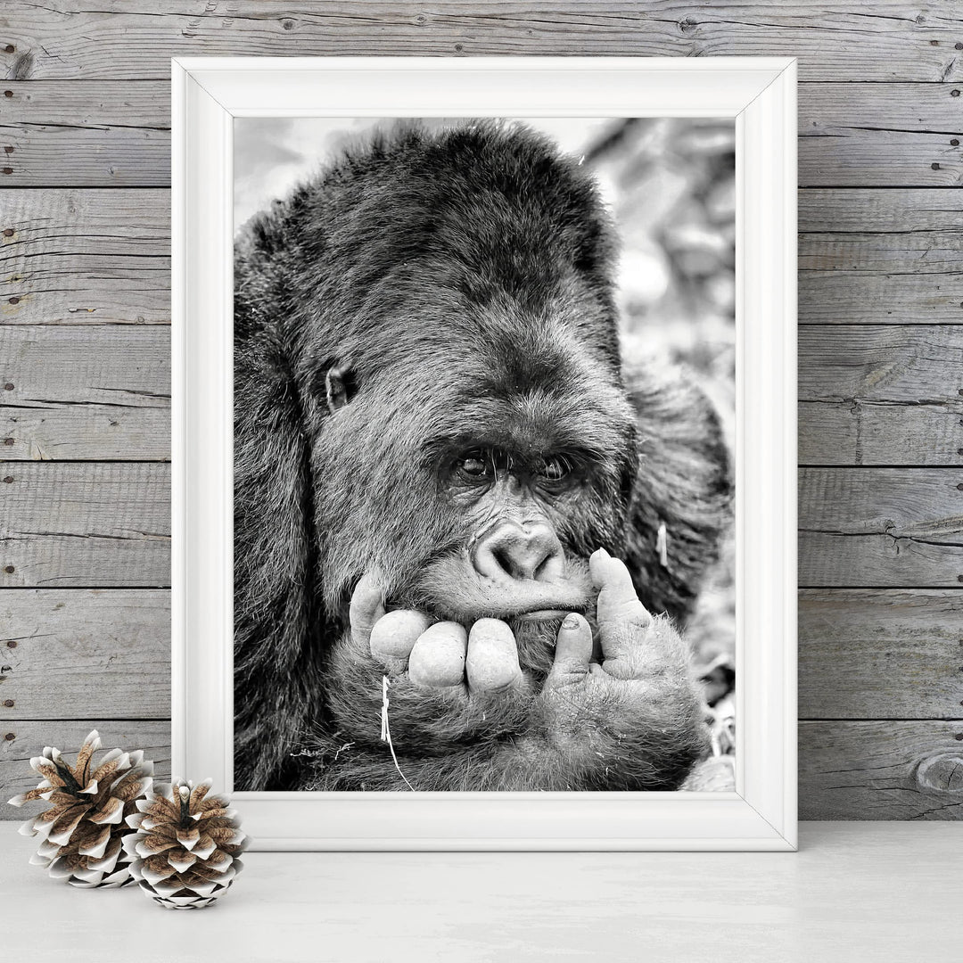 Gorilla Deep In Thought- 8 x 10" Jungle Animals Wall Art Print -Ready to Frame. Home-Office-Nursery-Zoo Pictures Decor. Wall Prints for Animal Themes &amp; Children&